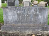 image of grave number 920256